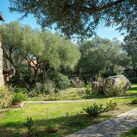 Caletta Nest 11 Porto Rotondo